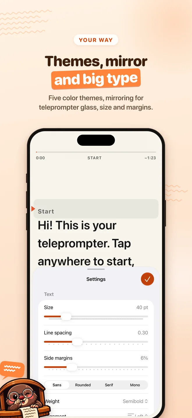Text and color theme settings